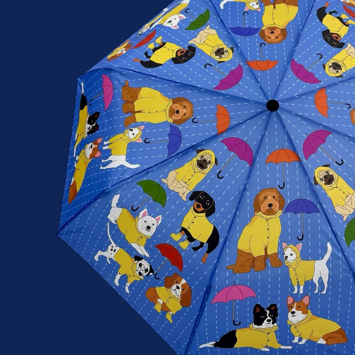 Puppy Dogs in the Rain Umbrella 