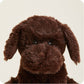Close-up of a brown plush dog toy on a beige background