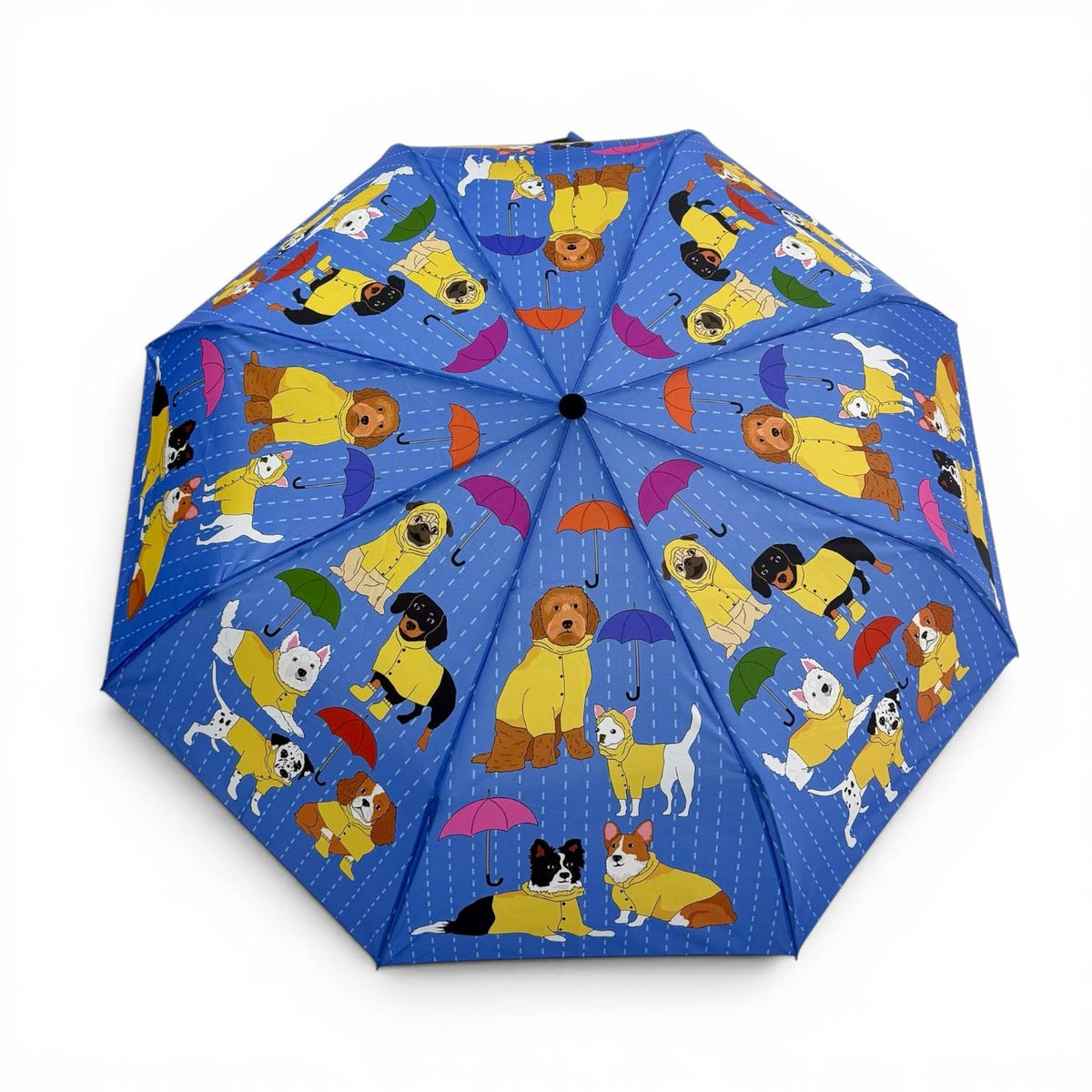 Puppy Dogs in the Rain Umbrella 