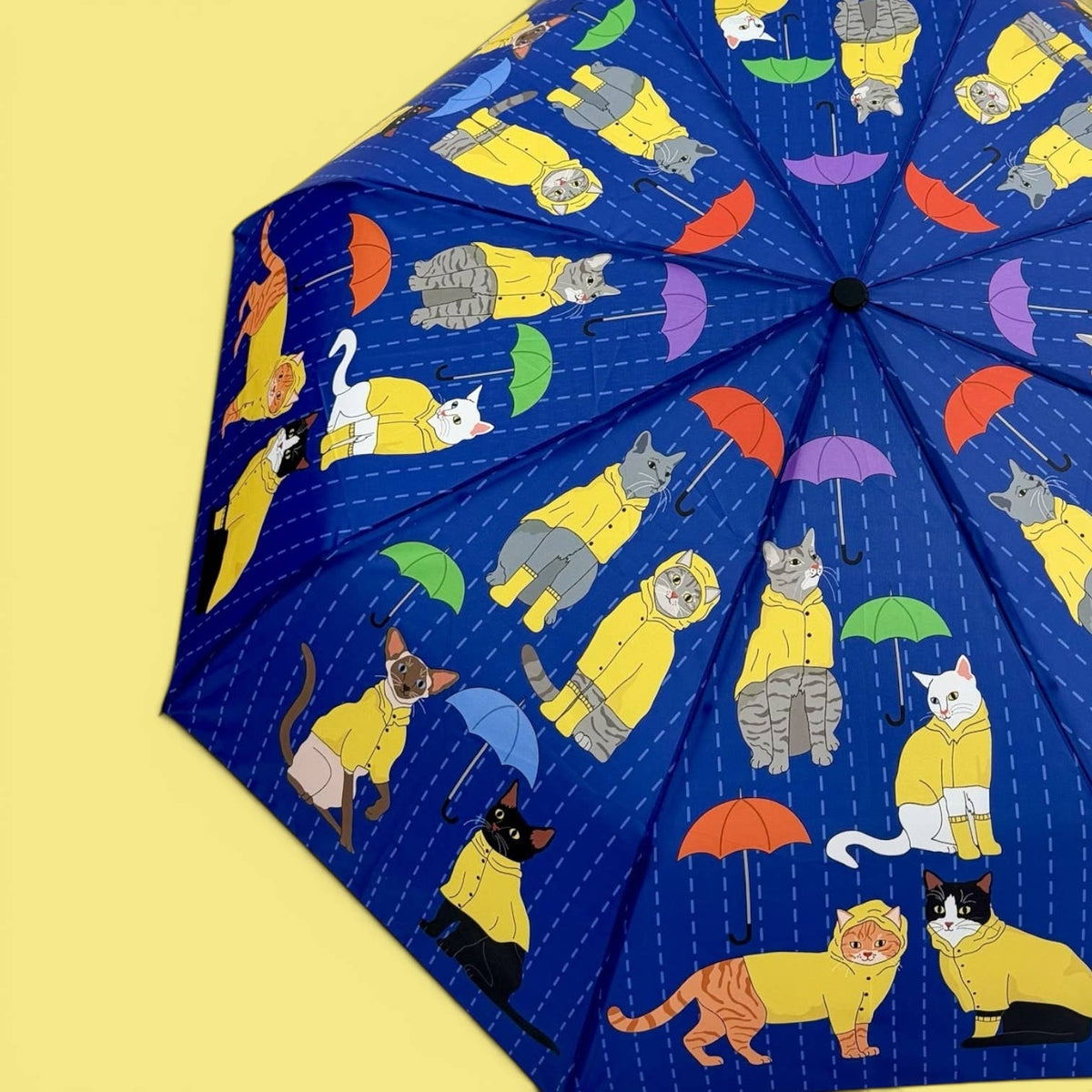 Kitty Cats in the Rain Umbrella 