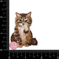 Brown Cat Patch