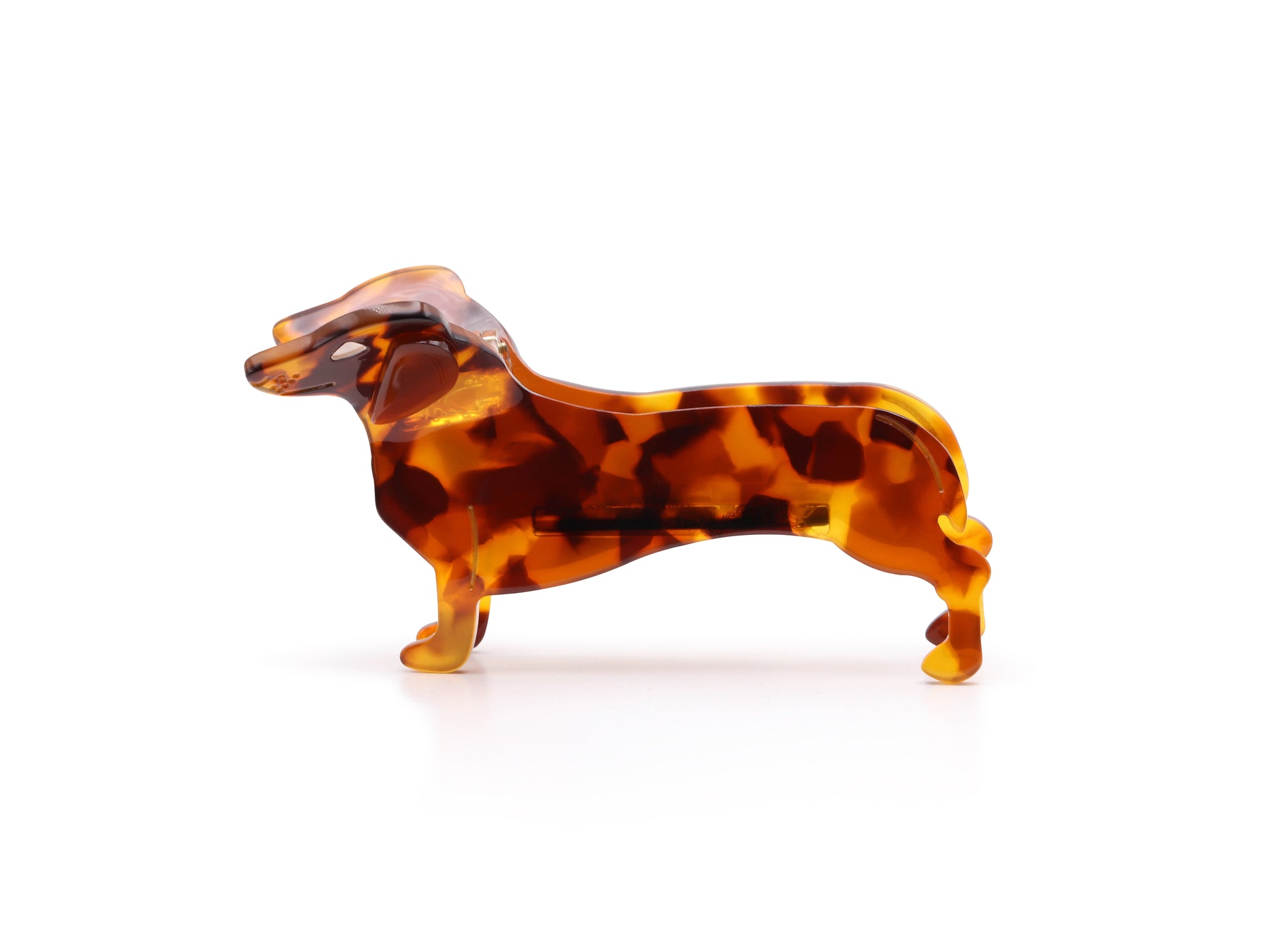 Tortoiseshell dog hair claw on a white background