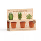 Hand Holding Succulent Pots