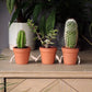 Hand Holding Succulent Pots