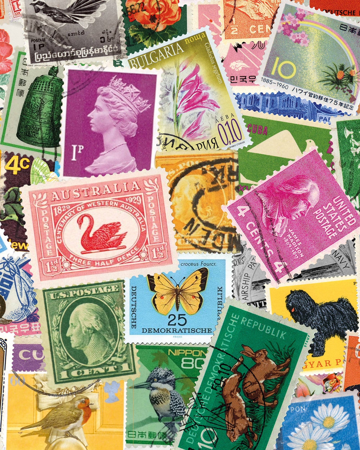 Stamp Collection Art Print