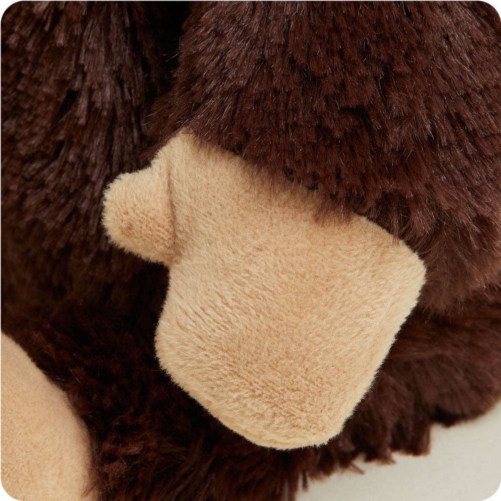 Close-up of a brown teddy bear with a beige paw on a white background