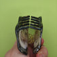 Oyster Hair Clip