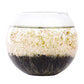 Water Garden Kit