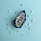 Oyster Hair Clip
