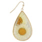 Daisy Duo Gold Teardrop Dried Flower Earrings