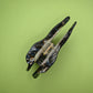 Oyster Hair Clip