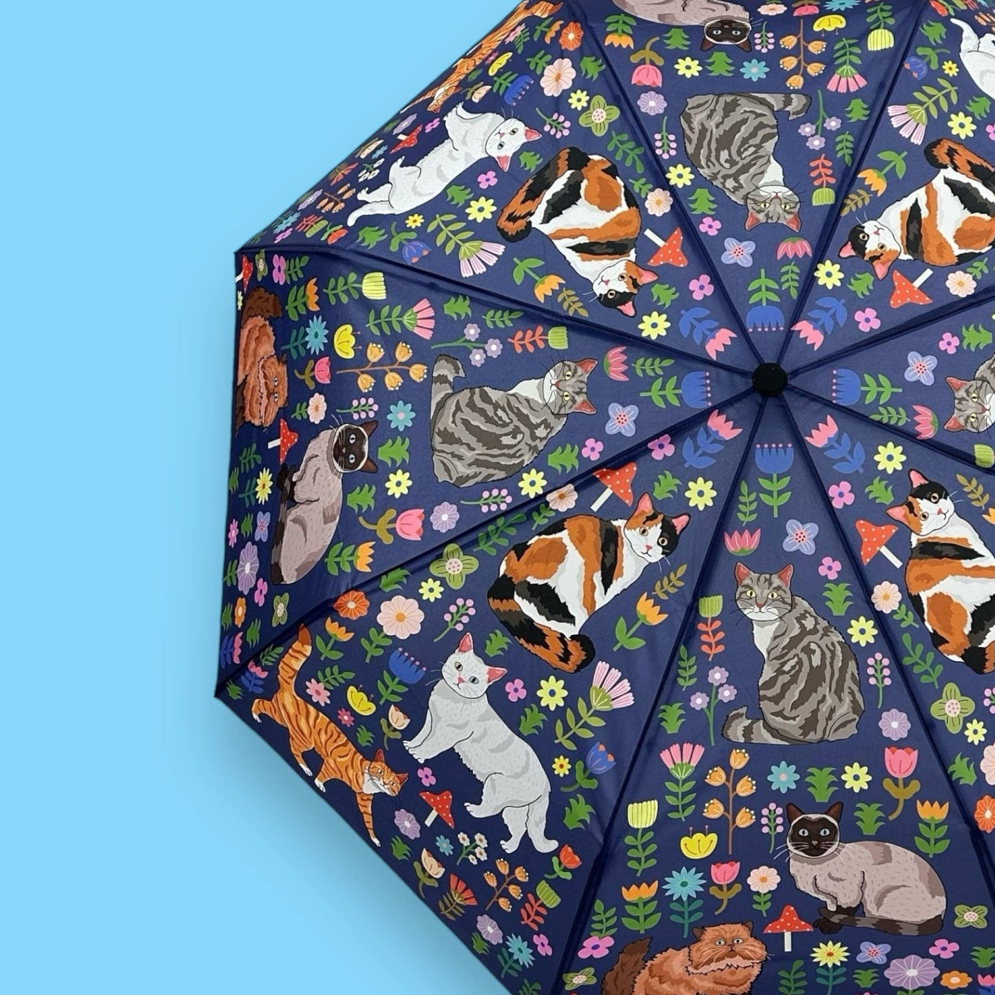Spring Kitty Cats Umbrella 