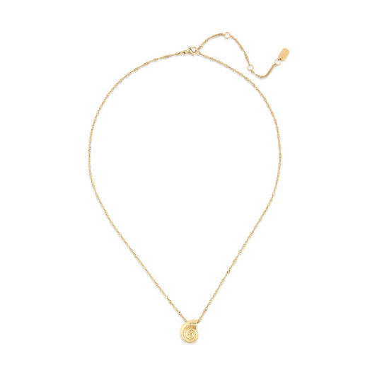 Seashell Pendant Necklace in Gold