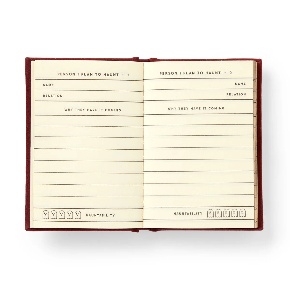 People I Plan To Haunt Pocket Journal