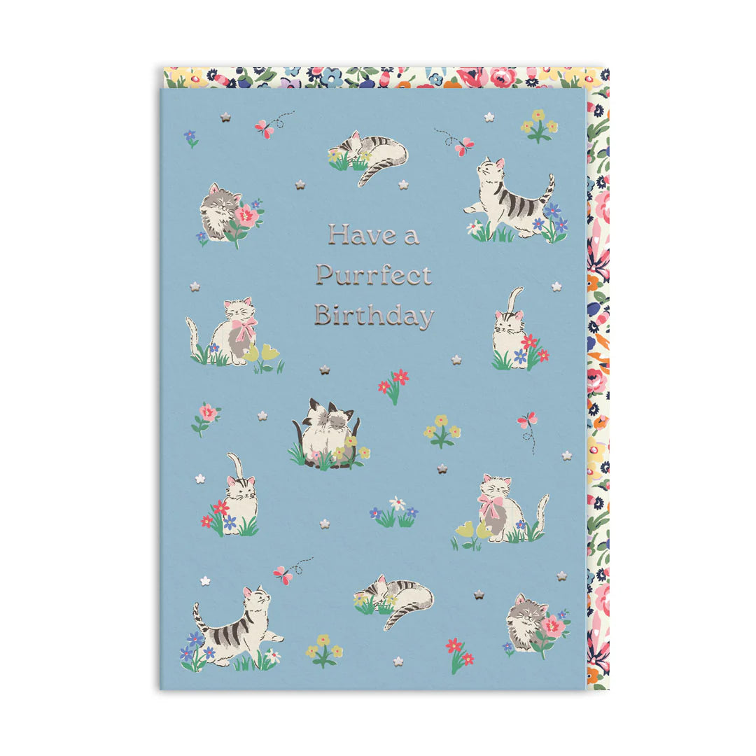 Ohh Deer Greeting Cards