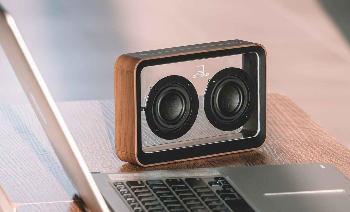 See Through Bluetooth Speaker