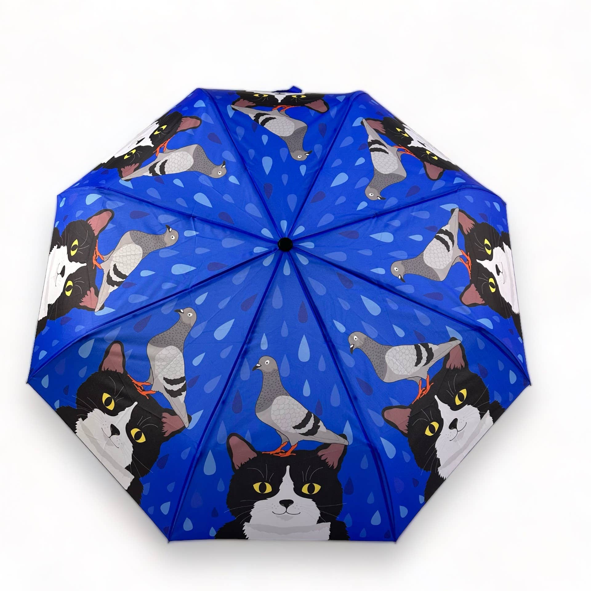 Umbrella with cat and pigeon pattern on a blue background