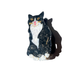 Hand-painted Tuxedo Cat Claw Hair Clip