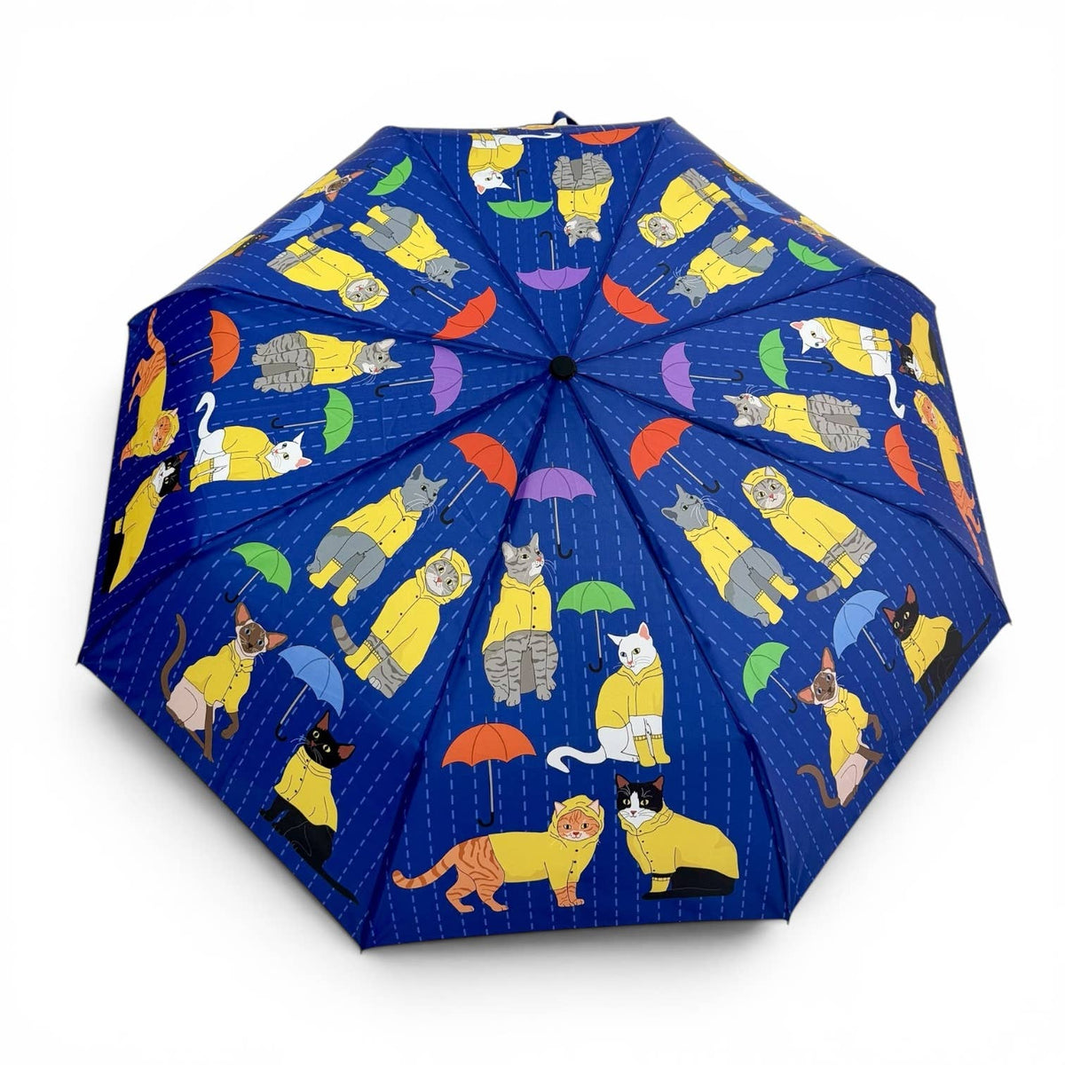 Kitty Cats in the Rain Umbrella 