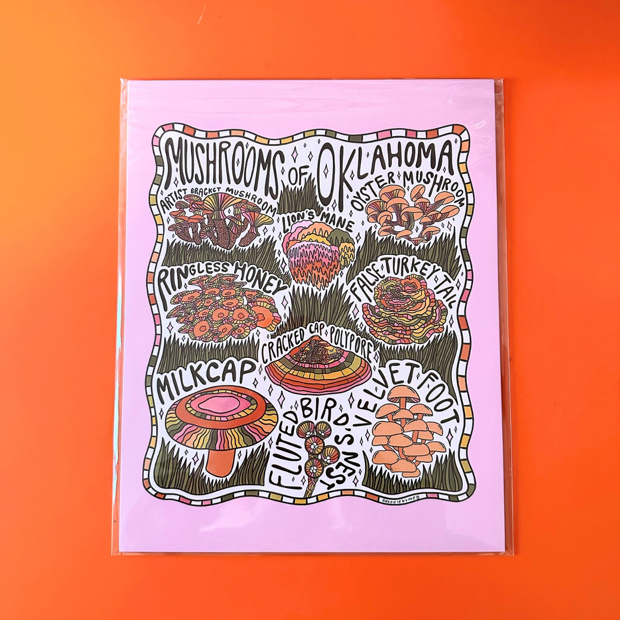 Illustration of mushrooms with text on a pink background against an orange gradient