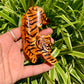 Handmade Tiger Hair Claw 