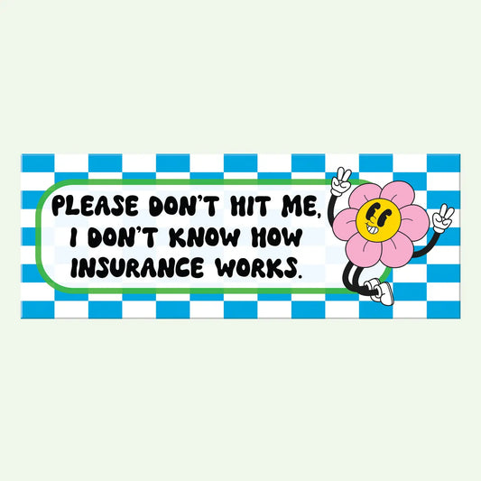 Please Don't Hit Me Bumper Sticker Decal