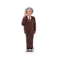 Solar Einstein