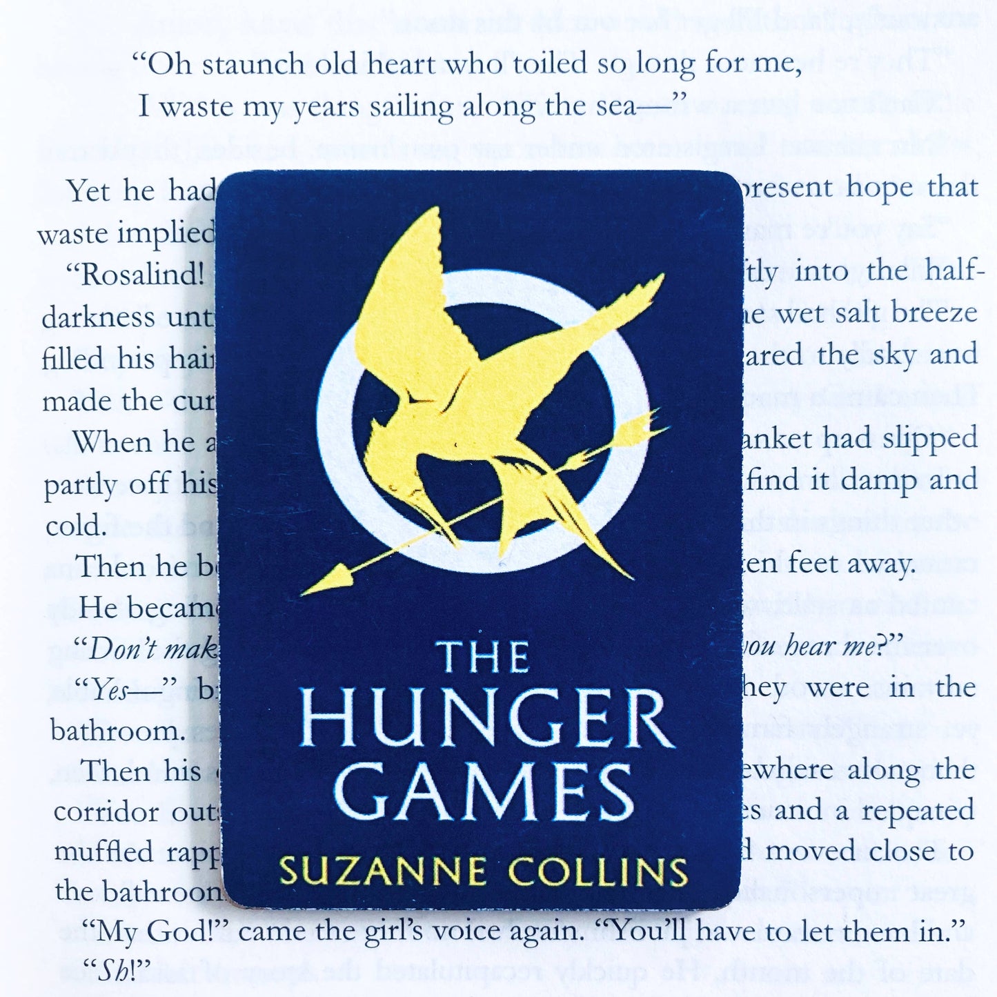 Hunger Games Blue Bookish Wooden Magnet