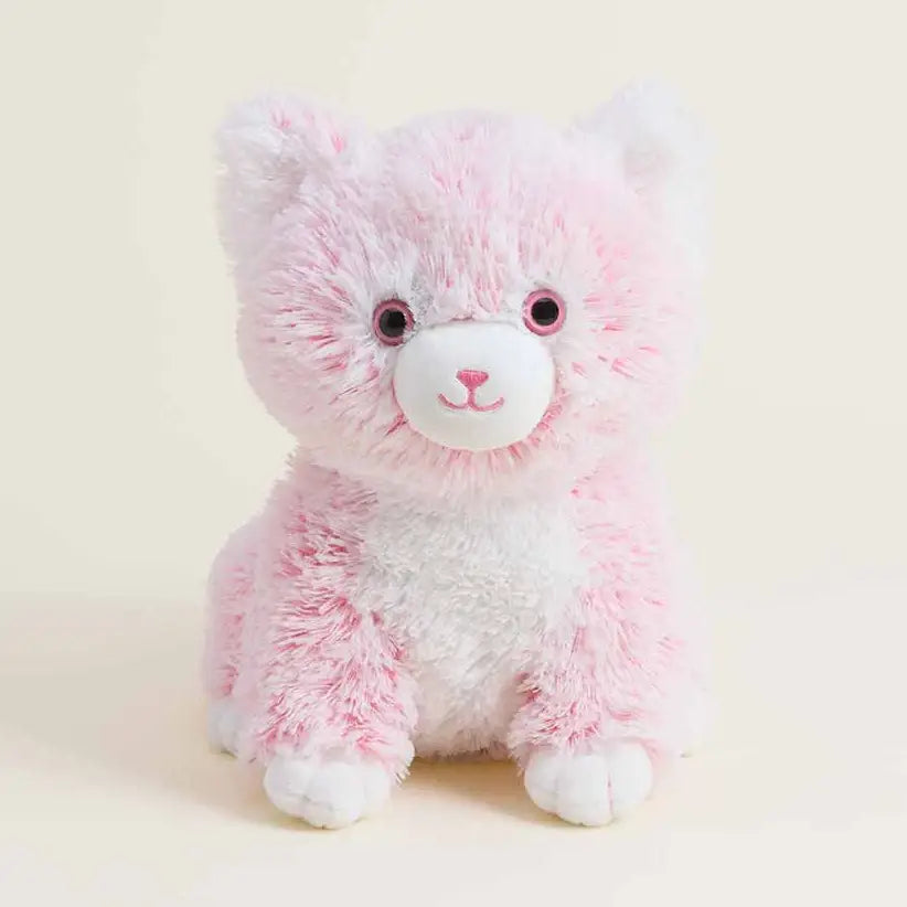 Pink and white fluffy kitten on a beige background